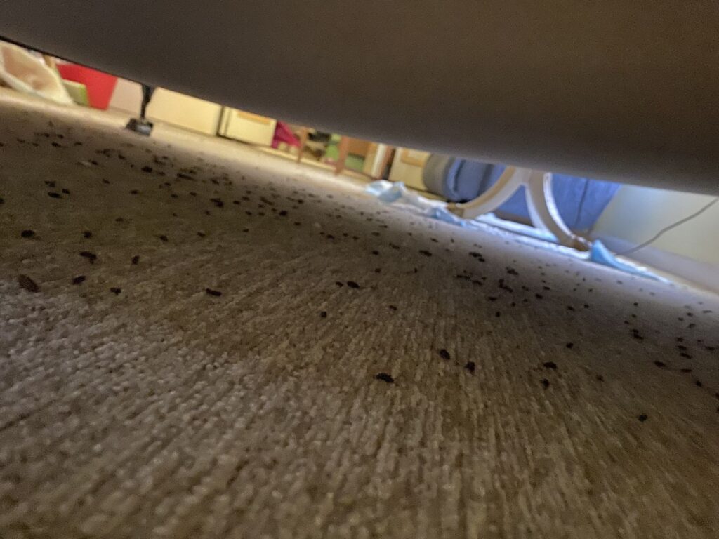 IMG 3992