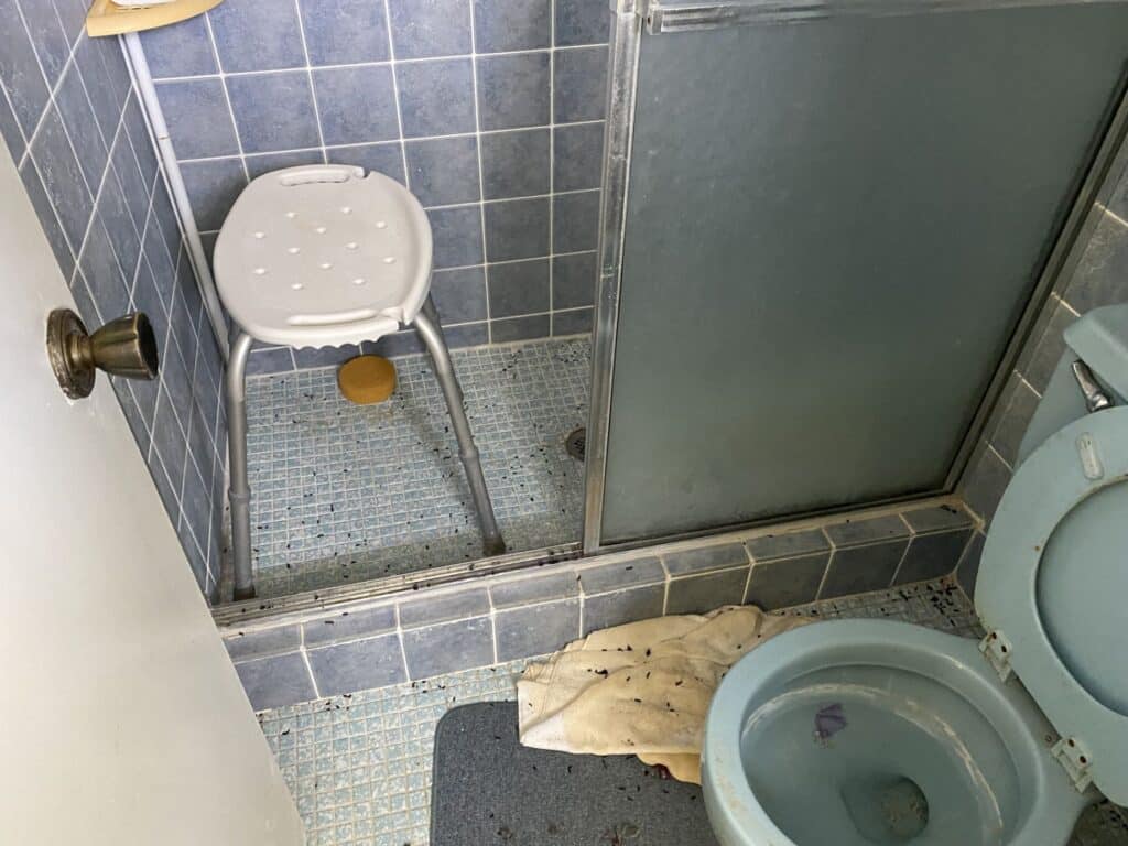 IMG 3994 1