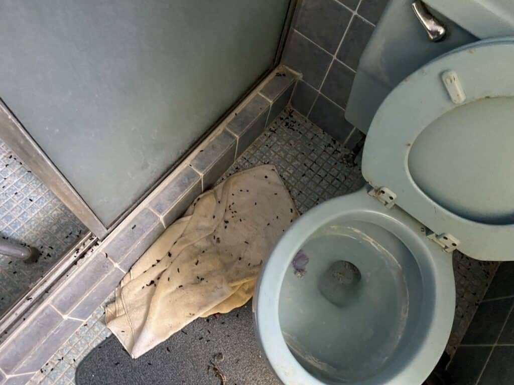 IMG 3995